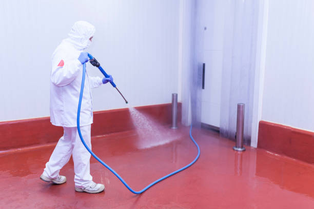Professional Pressure Washing Services in Devon, PA